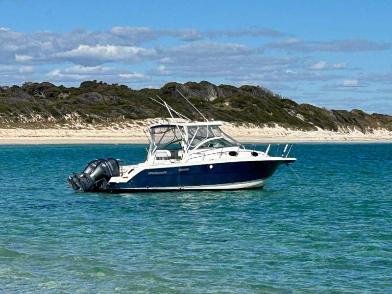 Wellcraft 290 Coastal