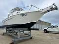 Stacer 649 Ocean Ranger