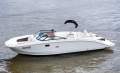 Sea Ray 290 SDX Bowrider