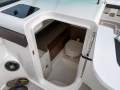 Sea Ray 290 SDX Bowrider