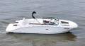 Sea Ray 290 SDX Bowrider