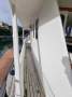 Bert Ellis Moreton Bay Cruiser