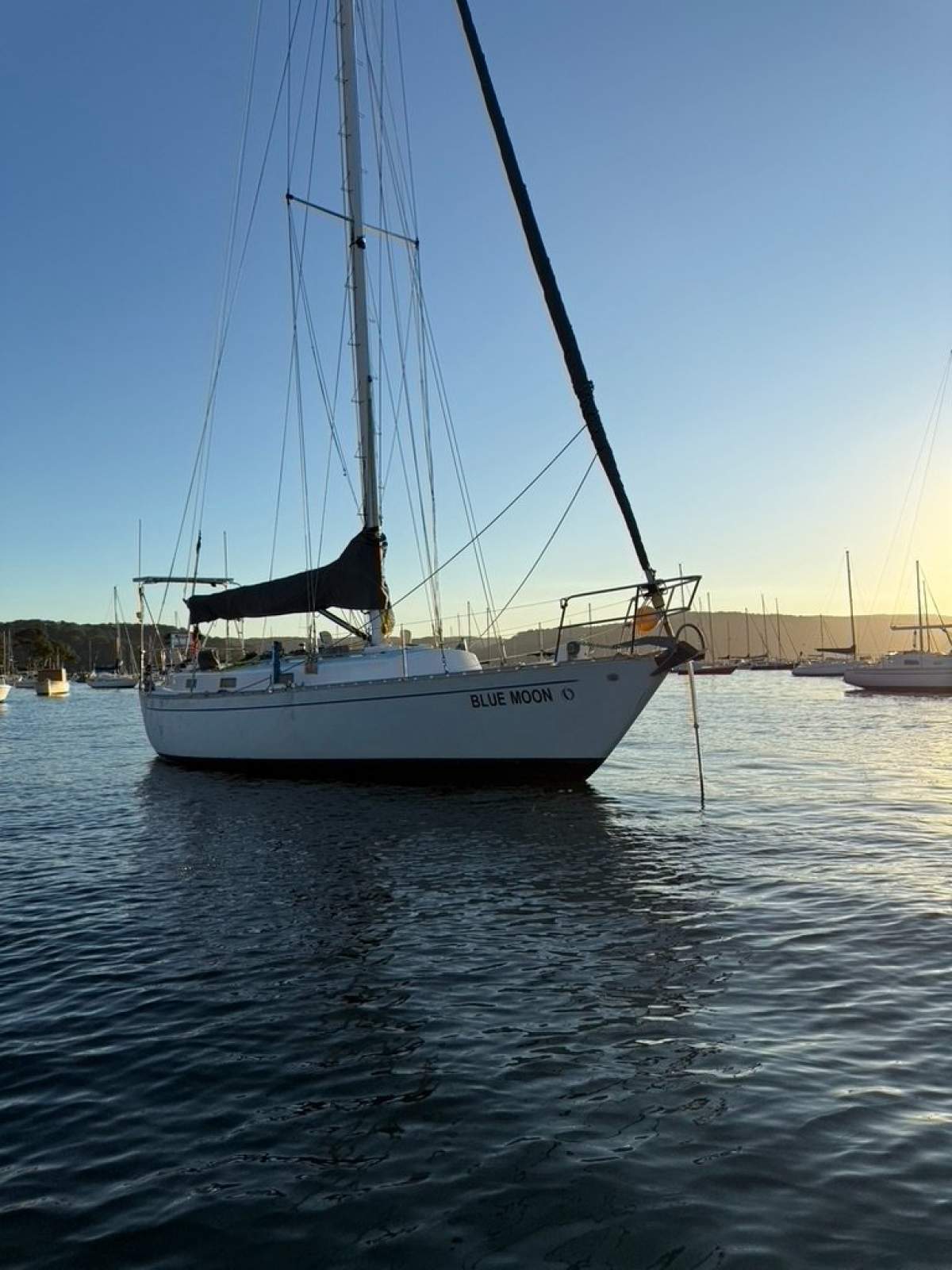 Cape Barren Goose 37 GRP Baker Built