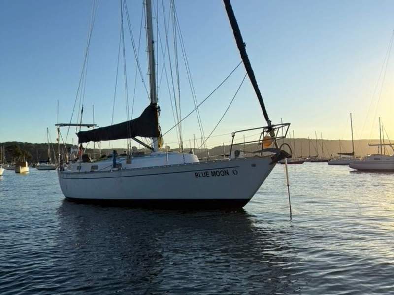 Cape Barren Goose 37 GRP Baker Built