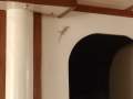 Custom Designed by Jean Roux - Sydney:Resident pet