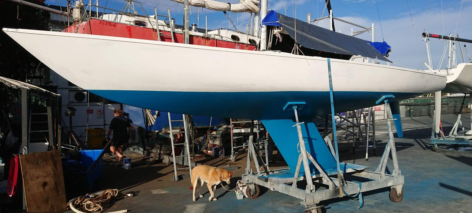 Soling 26