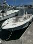 Robalo R242