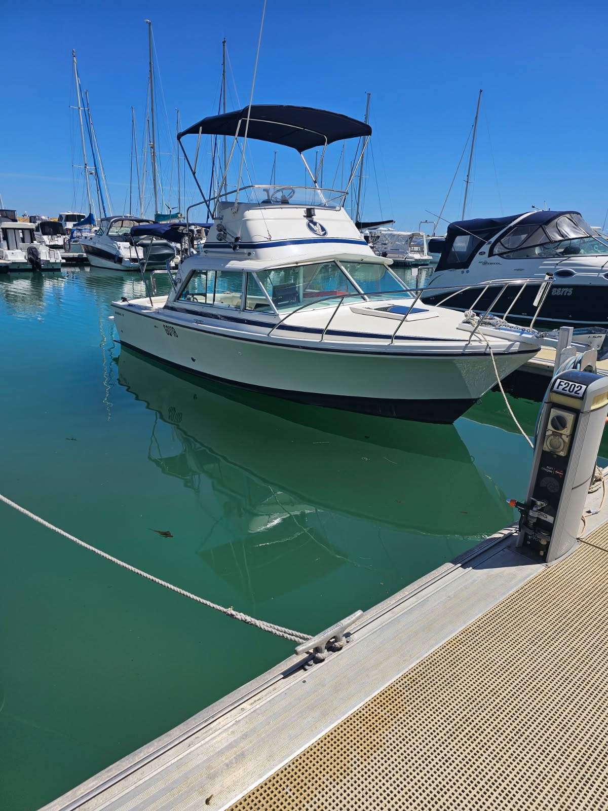 Bertram 25 Flybridge Best Presented we have seen- With Steyr Diesel