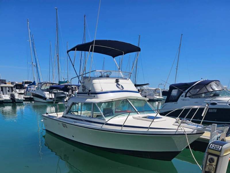 Bertram 25 Flybridge Best Presented we have seen- With Steyr Diesel