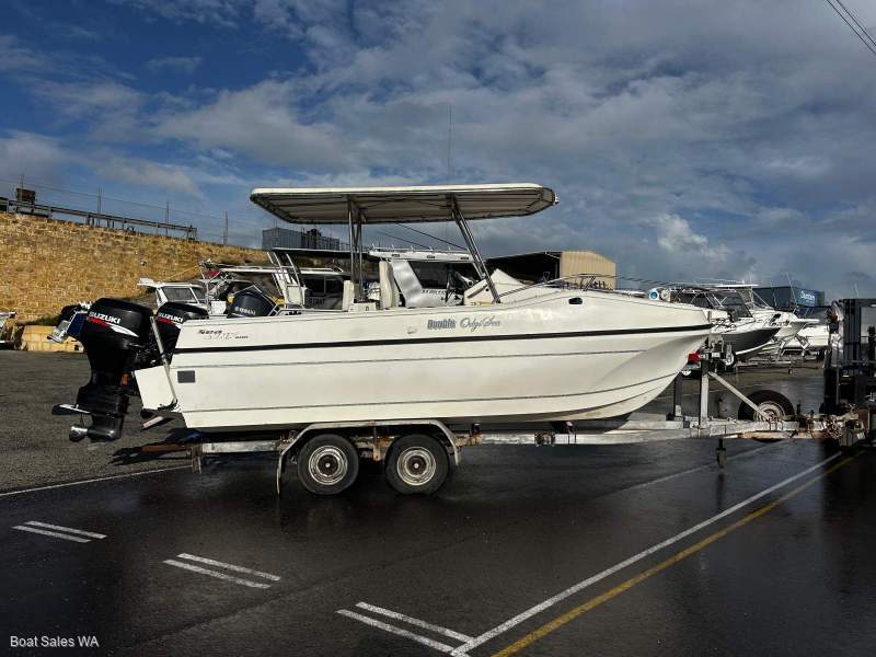 Custom Sea Lynx Twin Hull Cat 600