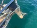 Bowman 46 Yawl