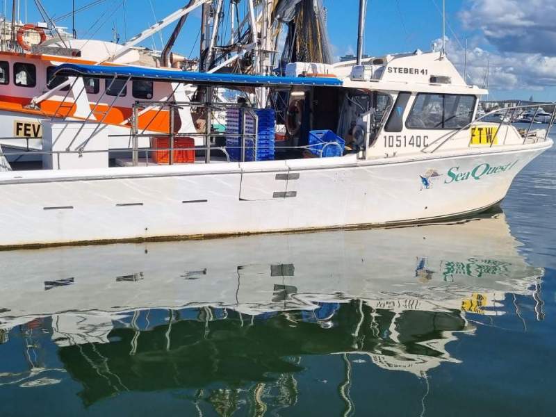 Steber 41 Steber Pro fisher