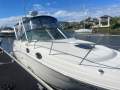 Sea Ray 270 Amberjack
