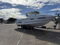 Leeder Tomcat 240
