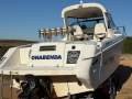 Leeder Tomcat 240