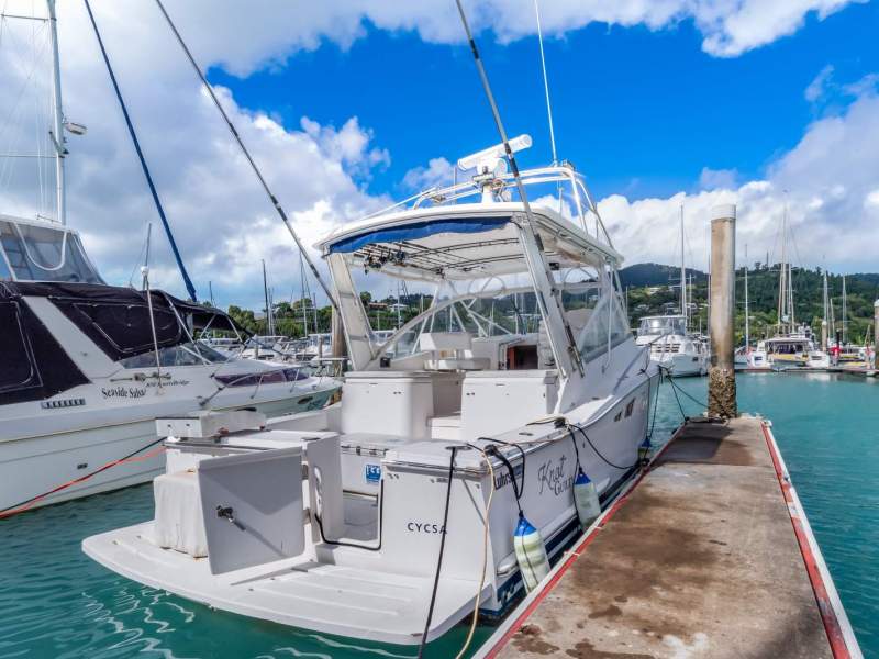 Luhrs 31 Open