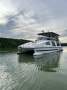Tasman 50