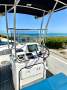 Ocean Whaler 565