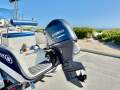 Ocean Whaler 565