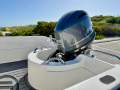Ocean Whaler 565