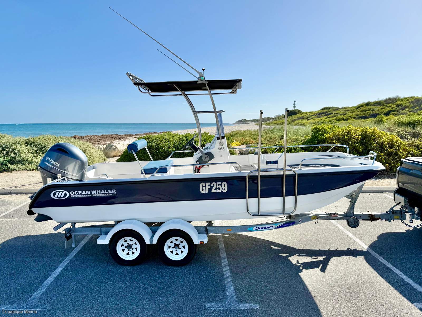 Ocean Whaler 565