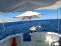 Mews 40 Flybridge Sports Fisher "Single Diesel Shaft with diesel genset "