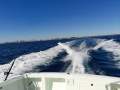 Mews 40 Flybridge Sports Fisher "Single Diesel Shaft with diesel genset "