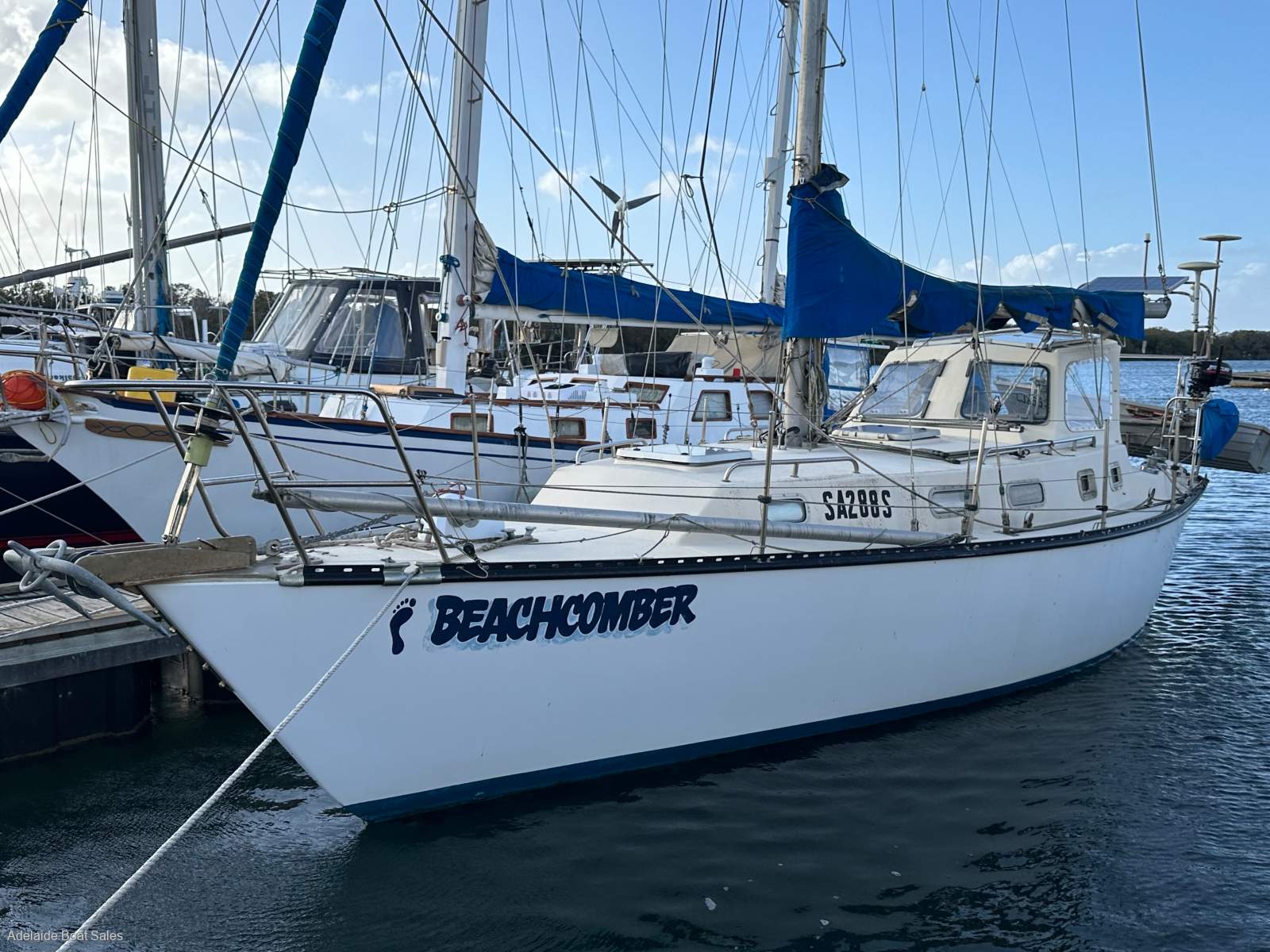 Roper 33