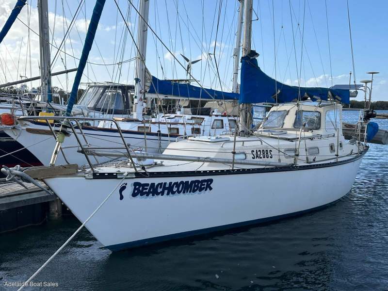 Roper 33