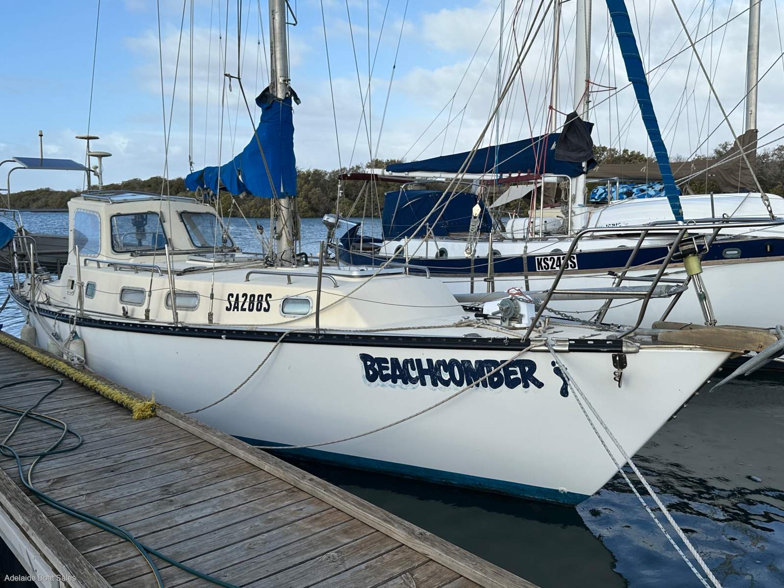 Roper 33