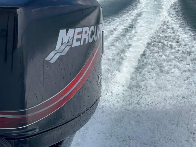 Mercury 150 EFI