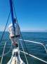 Mangrove Jack Motorsailer with 10 metre berth