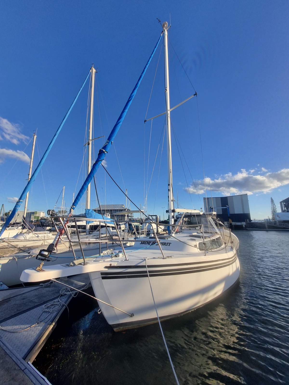 Mangrove Jack Motorsailer with 10 metre berth