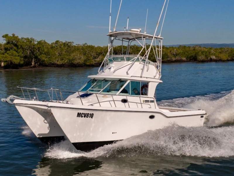 Baha Cruisers 340 King Cat