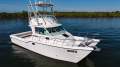 Baha Cruisers 340 King Cat