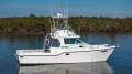 Baha Cruisers 340 King Cat