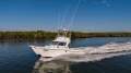 Baha Cruisers 340 King Cat