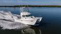 Baha Cruisers 340 King Cat