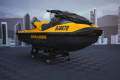 Sea-Doo GTR 230