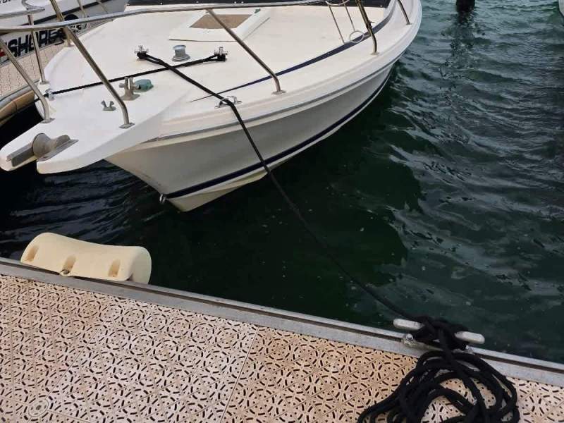 Bertram 26 Flybridge