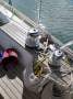 Van De Stadt Caribbean 40