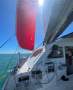 Chamberlin Performance Cruising Catamaran 12.0