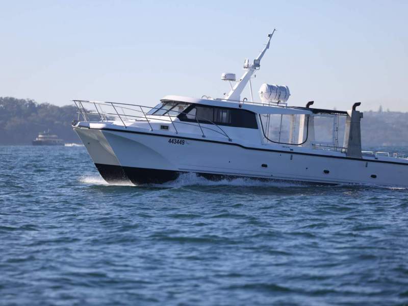 Cougar Cat 11.95