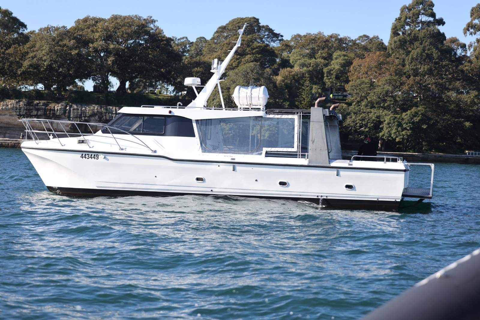 Cougar Cat 11.95