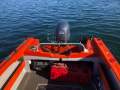 Milligan Nipper Yamaha 60hp 4 Stroke Trailer? Delivery? (Sydney)