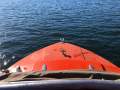 Milligan Nipper Yamaha 60hp 4 Stroke Trailer? Delivery? (Sydney)
