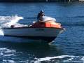 Milligan Nipper Yamaha 60hp 4 Stroke Trailer? Delivery? (Sydney)