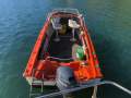 Milligan Nipper Yamaha 60hp 4 Stroke Trailer? Delivery? (Sydney)