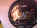 Milligan Nipper Yamaha 60hp 4 Stroke Trailer? Delivery? (Sydney)