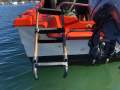Milligan Nipper Yamaha 60hp 4 Stroke Trailer? Delivery? (Sydney)